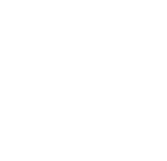 Gazgin logo
